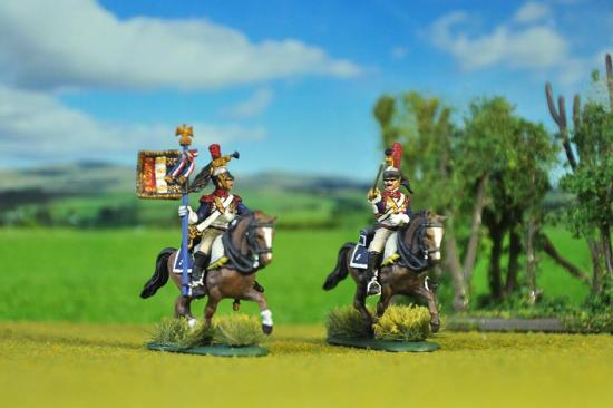 French  Napoleonic wars 1/72 scale Painted by KT