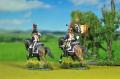 French  Napoleonic wars 1/72 scale Painted by KT