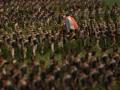 La Haye Sainte Diorama, 2. Teil. Hier marschiert gerade das 8. Linienregiment durch ein "Roggenfeld"